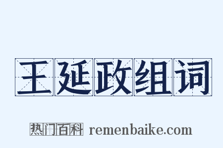 王延政组词是什么意思的图片